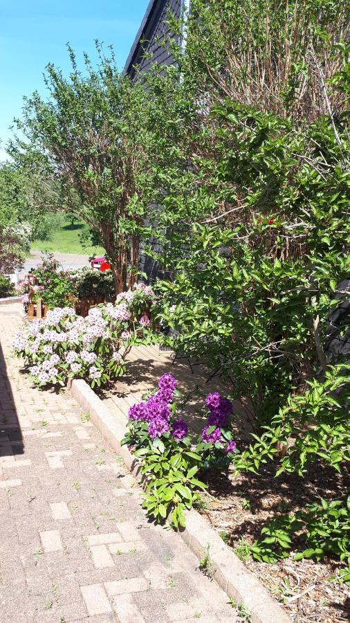 Ferienwohnung 43Qm Torf 10 Naehe Moehnesee Варштайн Экстерьер фото
