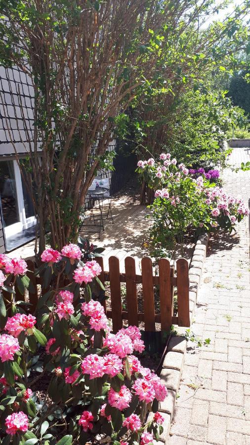 Ferienwohnung 43Qm Torf 10 Naehe Moehnesee Варштайн Экстерьер фото